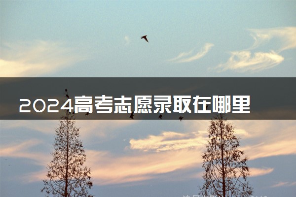 2024高考志愿录取在哪里查询 有哪些查询渠道