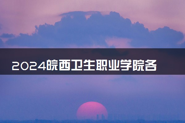 2024皖西卫生职业学院各专业录取分数线及位次 各省录取最低分是多少