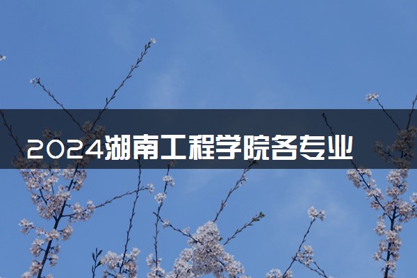 2024湖南工程学院各专业录取分数线及位次 各省录取最低分是多少