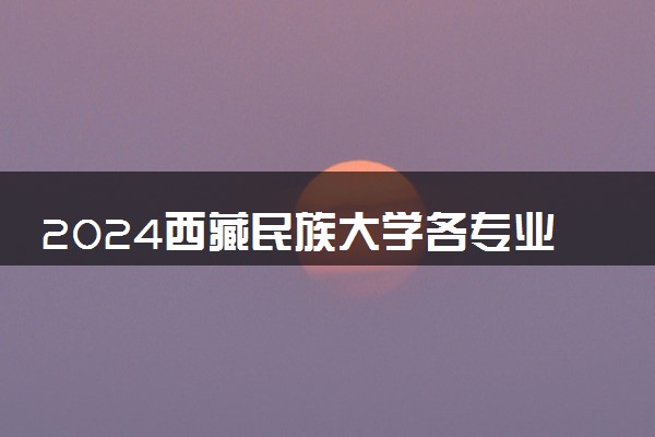 2024西藏民族大学各专业录取分数线及位次 各省录取最低分是多少