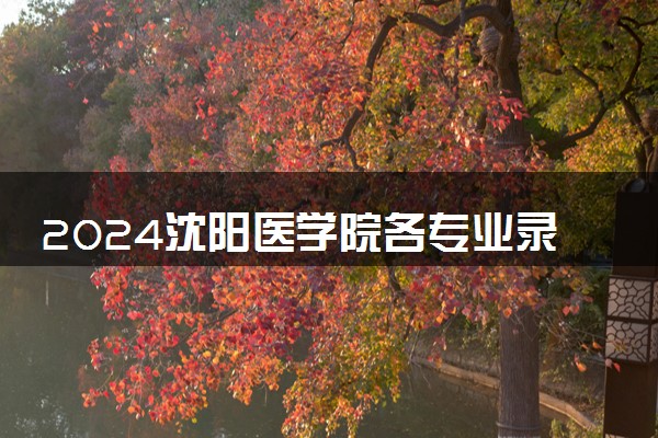 2024沈阳医学院各专业录取分数线及位次 各省录取最低分是多少