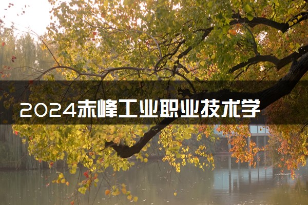 2024赤峰工业职业技术学院各专业录取分数线及位次 各省录取最低分是多少