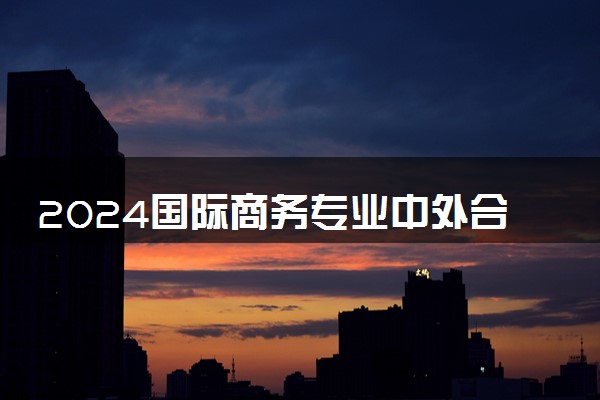 2024国际商务专业中外合作办学学校有哪些