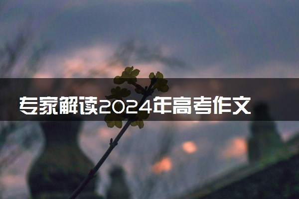 专家解读2024年高考作文 2024高考作文题目汇总