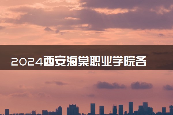 2024西安海棠职业学院各专业录取分数线及位次 各省录取最低分是多少