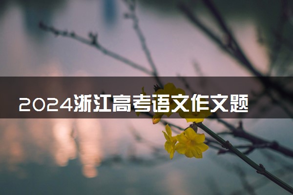 2024浙江高考语文作文题目及试题解析