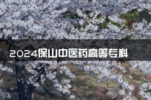 2024保山中医药高等专科学校各专业录取分数线及位次 各省录取最低分是多少