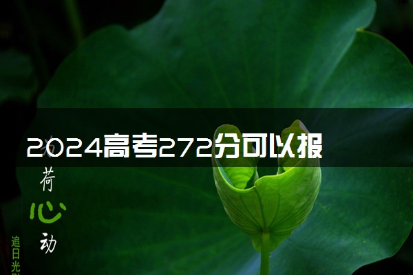 2024高考272分可以报哪些大学 272分左右能上的院校名单