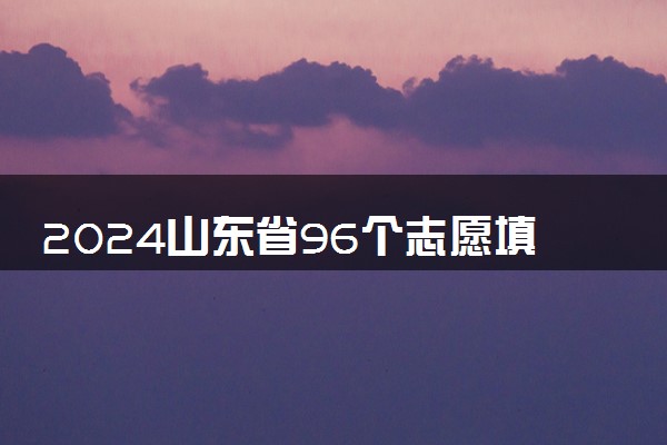 2024山东省96个志愿填报样表 怎么填报更好