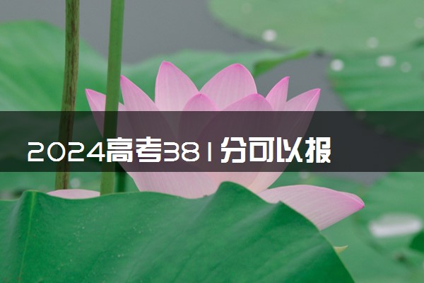 2024高考381分可以报哪些大学 381分左右能上的院校名单