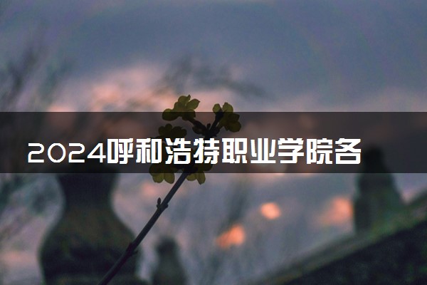 2024呼和浩特职业学院各专业录取分数线及位次 各省录取最低分是多少