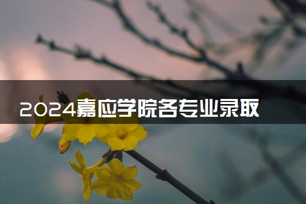 2024嘉应学院各专业录取分数线及位次 各省录取最低分是多少