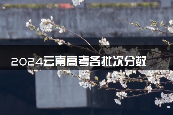 2024云南高考各批次分数线预测 本专科分数线预计多少分