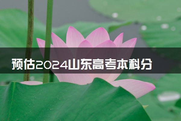 预估2024山东高考本科分数线 录取线预计是多少