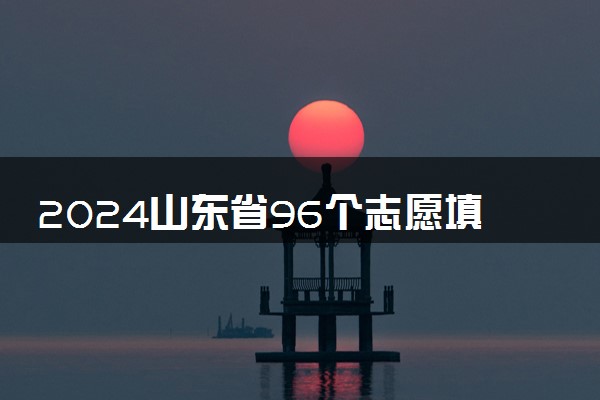 2024山东省96个志愿填报样图 有什么填报窍门