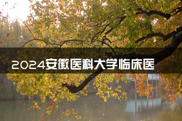 2024安徽医科大学临床医学院各专业录取分数线及位次 各省录取最低分是多少