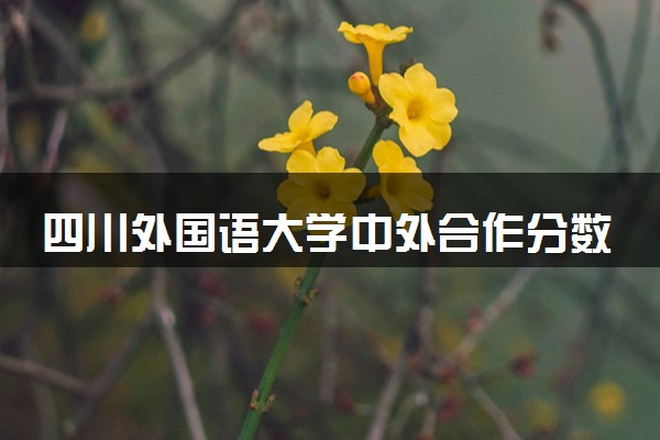 四川外国语大学中外合作分数线 2024多少分可以录取