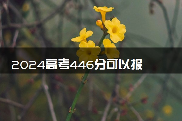 2024高考446分可以报哪些大学 446分左右能上的院校名单