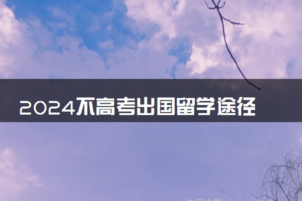 2024不高考出国留学途径有哪些 要什么条件