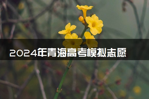 2024年青海高考模拟志愿填报时间及入口