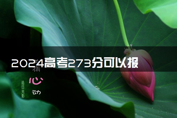 2024高考273分可以报哪些大学 273分左右能上的院校名单