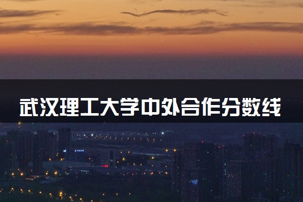 武汉理工大学中外合作分数线 2024多少分可以录取