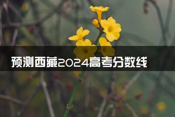 预测西藏2024高考分数线 本专科分数线预估