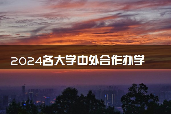 2024各大学中外合作办学3+1学费多少 招生条件是什么