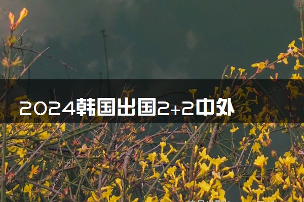 2024韩国出国2+2中外合作办学有什么专业 项目好不好