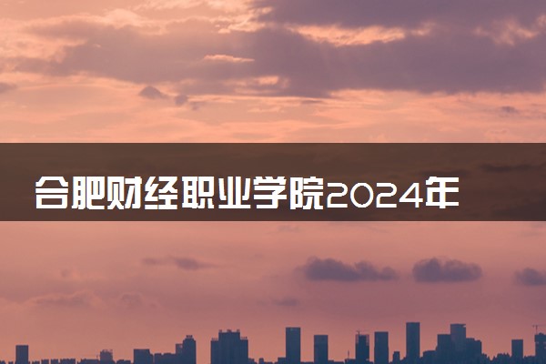 合肥财经职业学院2024年学费多少钱 一年各专业收费标准