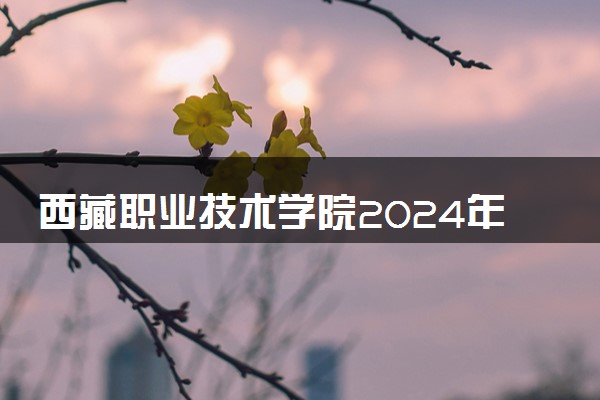 西藏职业技术学院2024年学费多少钱 一年各专业收费标准