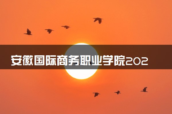 安徽国际商务职业学院2024年学费多少钱 一年各专业收费标准