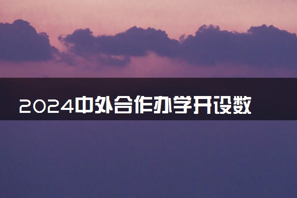 2024中外合作办学开设数字媒体艺术专业的学校有什么