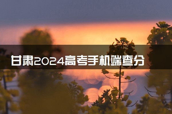 甘肃2024高考手机端查分网址入口 什么时候查成绩