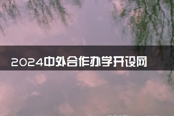 2024中外合作办学开设网络工程专业的学校名单