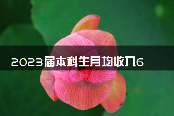 2023届本科生月均收入6050元 什么专业工资高