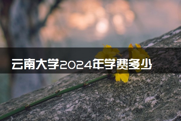 云南大学2024年学费多少钱 一年各专业收费标准