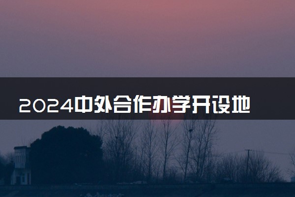 2024中外合作办学开设地质工程专业的学校有什么