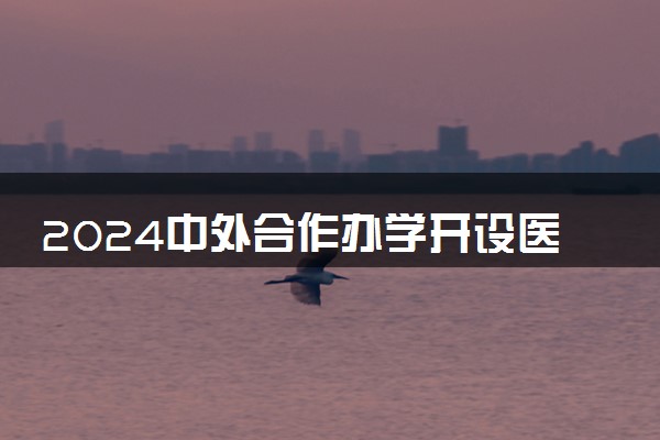 2024中外合作办学开设医学影像技术专业的学校有哪些