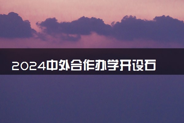 2024中外合作办学开设石油工程专业的学校有哪些