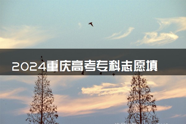 2024重庆高考专科志愿填报时间及网址入口 具体填报流程