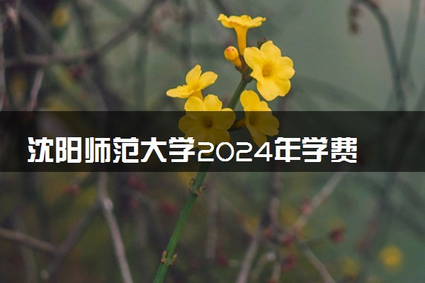 沈阳师范大学2024年学费多少钱 一年各专业收费标准