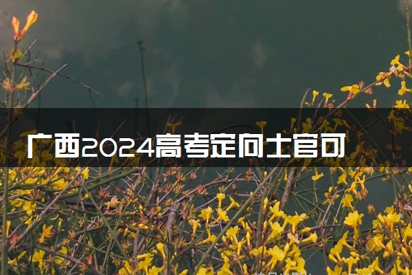 广西2024高考定向士官可以填多少个志愿 志愿设置及填报技巧