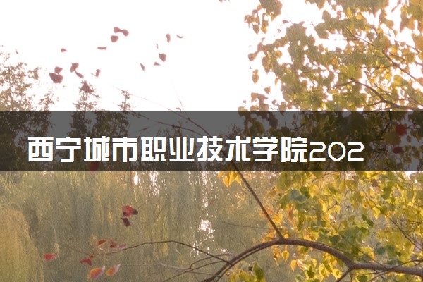 西宁城市职业技术学院2024年学费多少钱 一年各专业收费标准