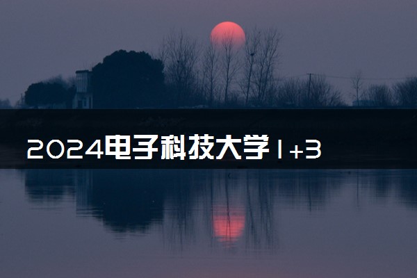 2024电子科技大学1+3中外合作办学怎么样 学费如何