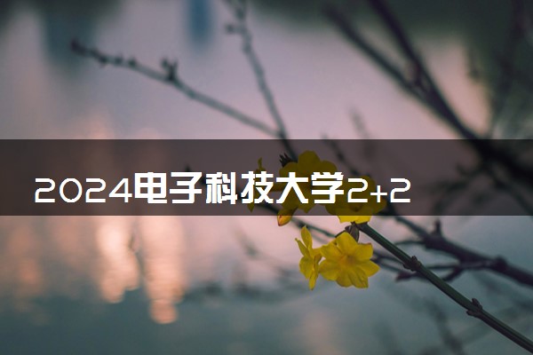 2024电子科技大学2+2中外合作办学有什么专业 就业如何