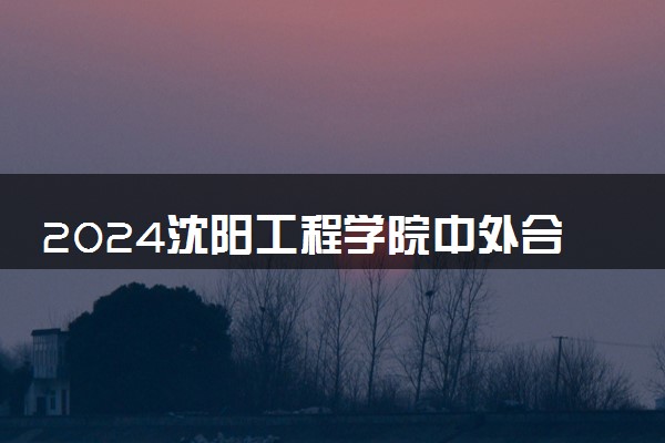 2024沈阳工程学院中外合作办学招生计划是多少 就业情况怎么样