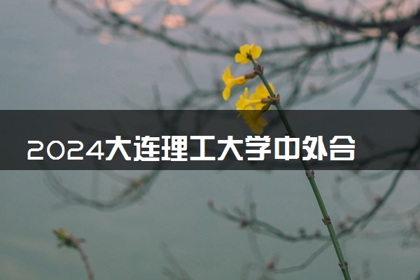 2024大连理工大学中外合作办学学费多少 项目好吗