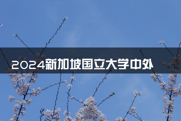 2024新加坡国立大学中外合作办学怎么样