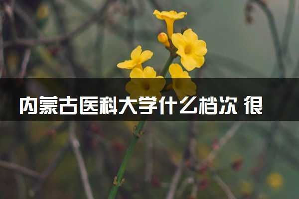 内蒙古医科大学什么档次 很厉害吗